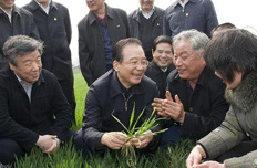 溫家寶:油價若漲將直補(bǔ)農(nóng)民