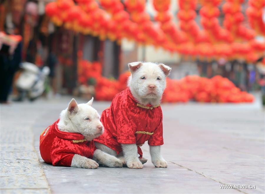 XINHUA PHOTO WEEKLY CHOICES (CN)