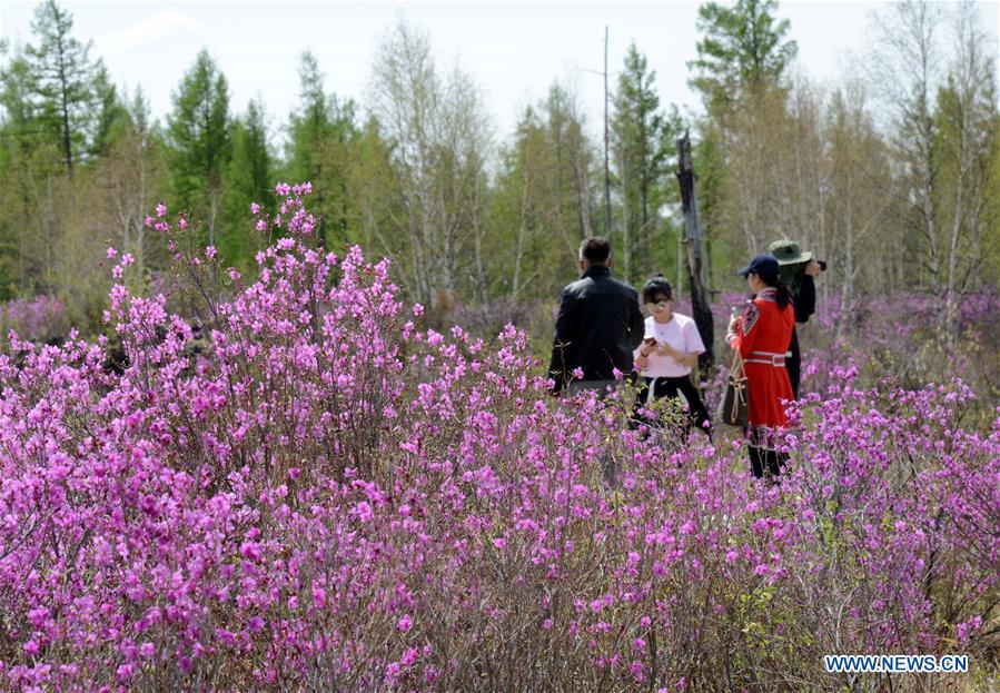 CHINA-INNER MONGOLIA-ARXAN-SCENERY (CN)