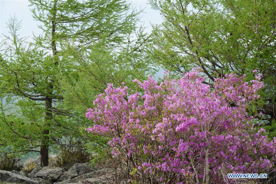 CHINA-INNER MONGOLIA-ARXAN-SCENERY (CN)