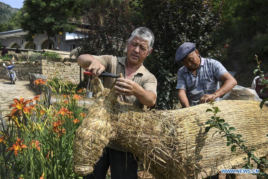 CHINA-SHAANXI-VILLAGES-OVERHAUL (CN)