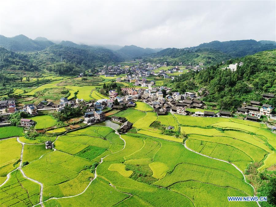 CHINA-AUTUMN-HARVEST(CN)