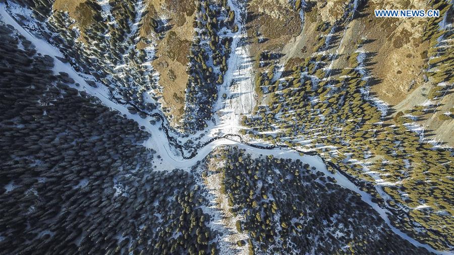 CHINA-XINJIANG-URUMQI-SNOWFALL (CN)
