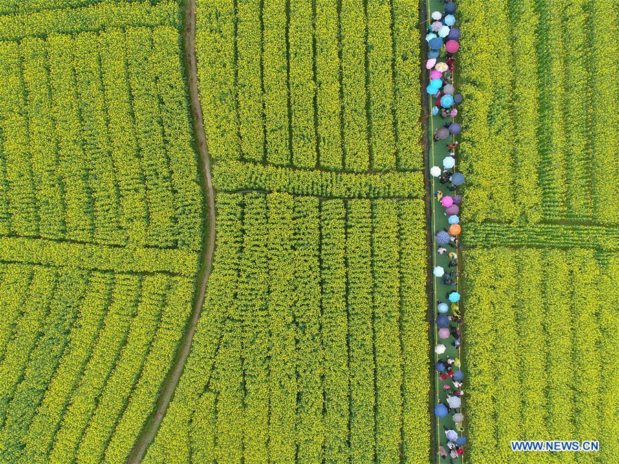 (年終報(bào)道)(19)2018年看大美中國(guó)