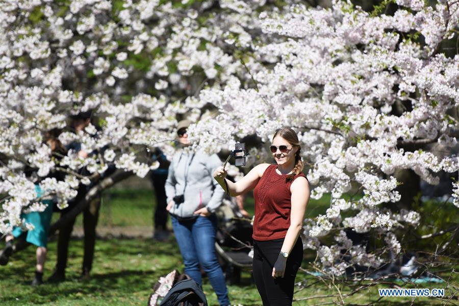 U.S.-NEW YORK-SPRING-SCENERY