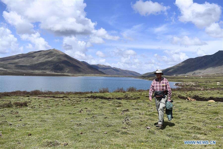 Xinhua Headlines: George Schaller, exploring the beauty of nature on the Qinghai-Tibet Plateau