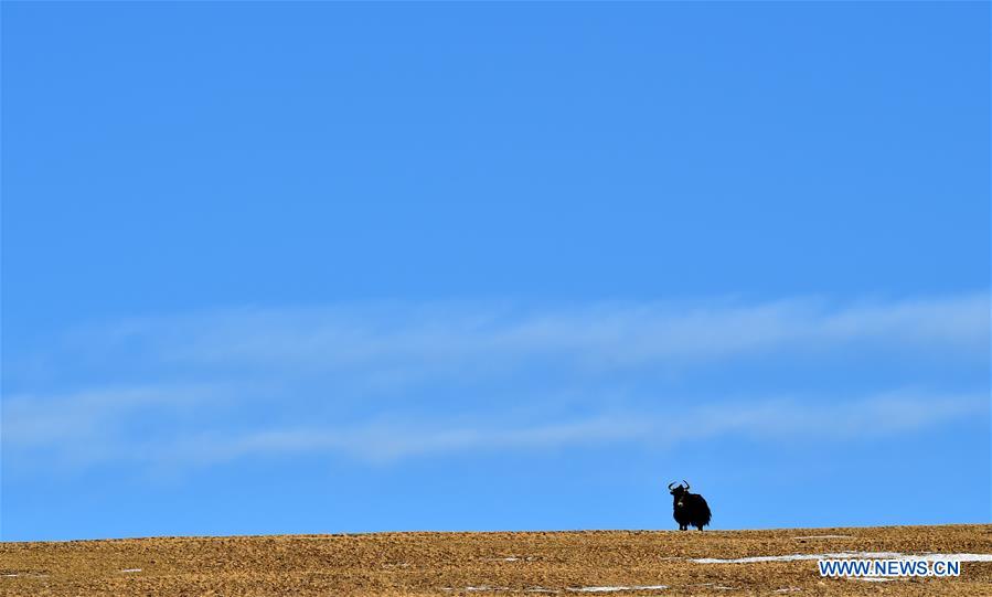 XINHUA PHOTOS OF THE DAY