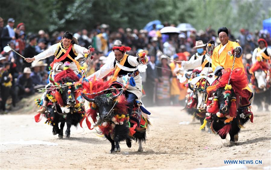 (InTibet)CHINA-TIBET-SOCIAL DEVELOPMENT-DAILY LIFE-2019 (CN)