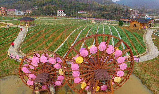 Henan's Xinyang pursues path of green development