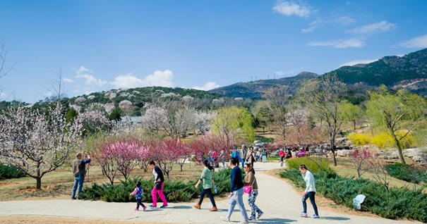 美到無法呼吸！&ldquo;西山晴雪&rdquo;攝影大賽來了