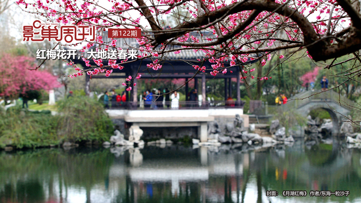 【影巢周刊】紅梅花開，大地送春來
