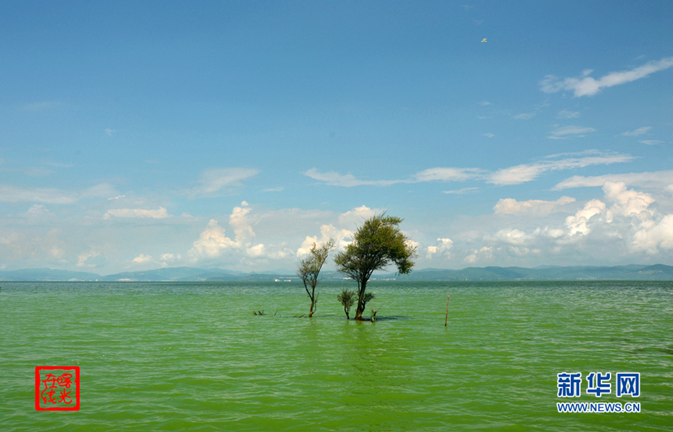 陽光昆明，爽爽的春城