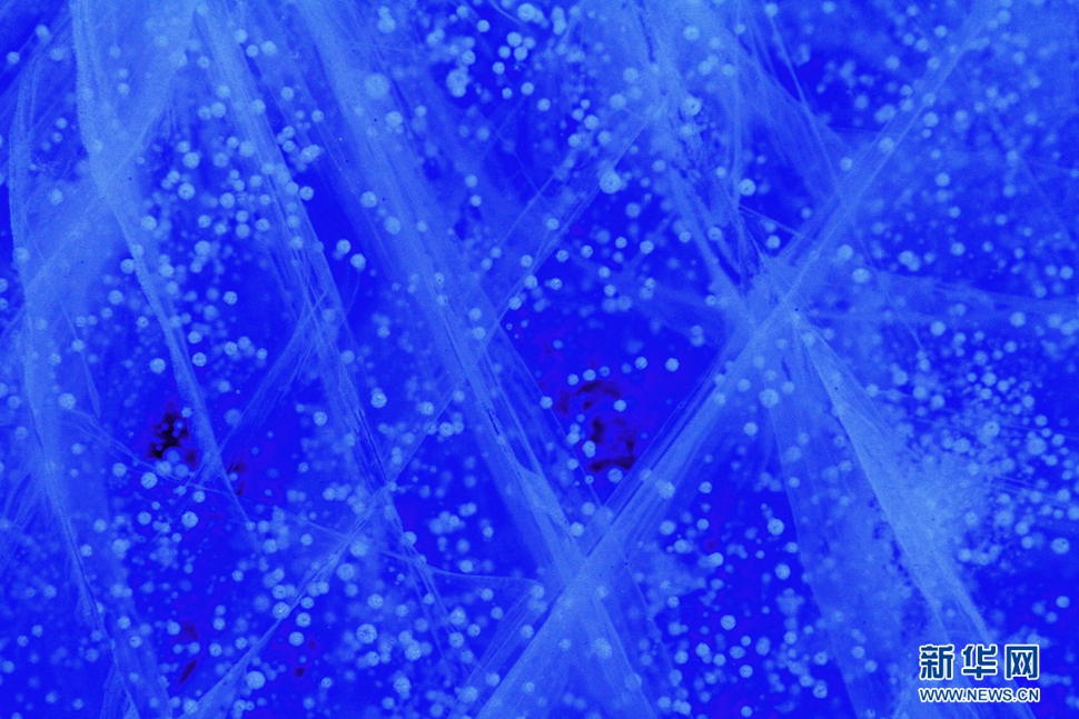 氣泡冰亮晶晶，藍精靈賽繁星