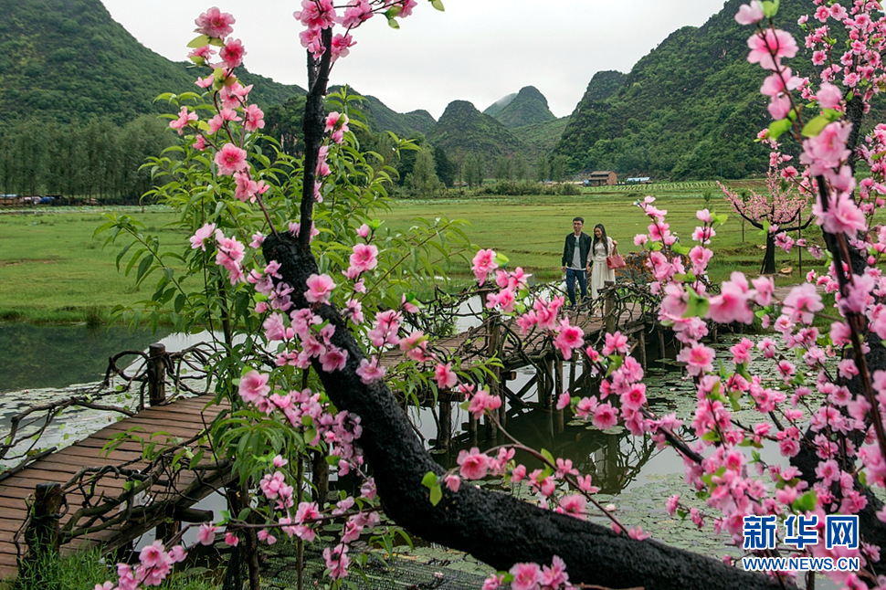 《桃花盛開(kāi)的時(shí)候》