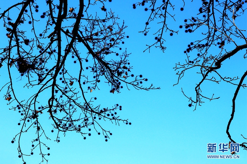 《隆冬暖陽(yáng)下西山掠影》