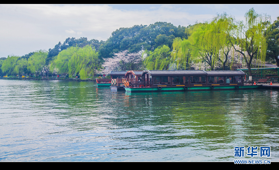 聽風(fēng)西湖柳，聞香龍井茶