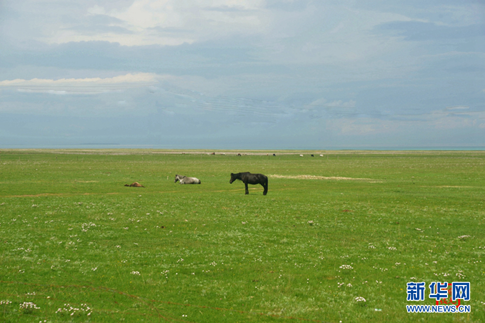 高原放歌之那山、那寺、那朵云