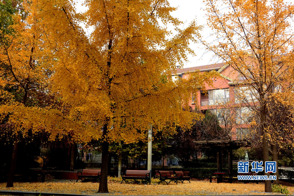 《無(wú)盡畫(huà)意鏡頭中》