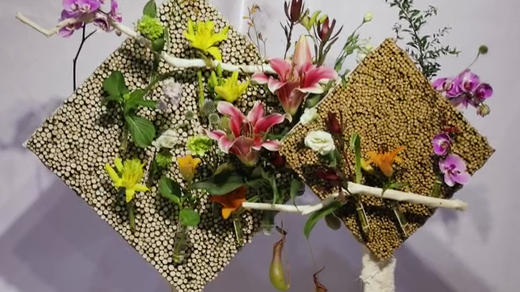 如此動(dòng)人，和百合來(lái)場(chǎng)約會(huì)吧！