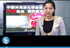 權(quán)威聲音：&ldquo;快時(shí)代&rdquo;究竟還有什么可以速成？