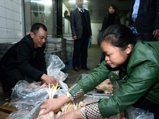 江西宰殺、冷凍積壓禽肉 緩解H7N9禽流感影響