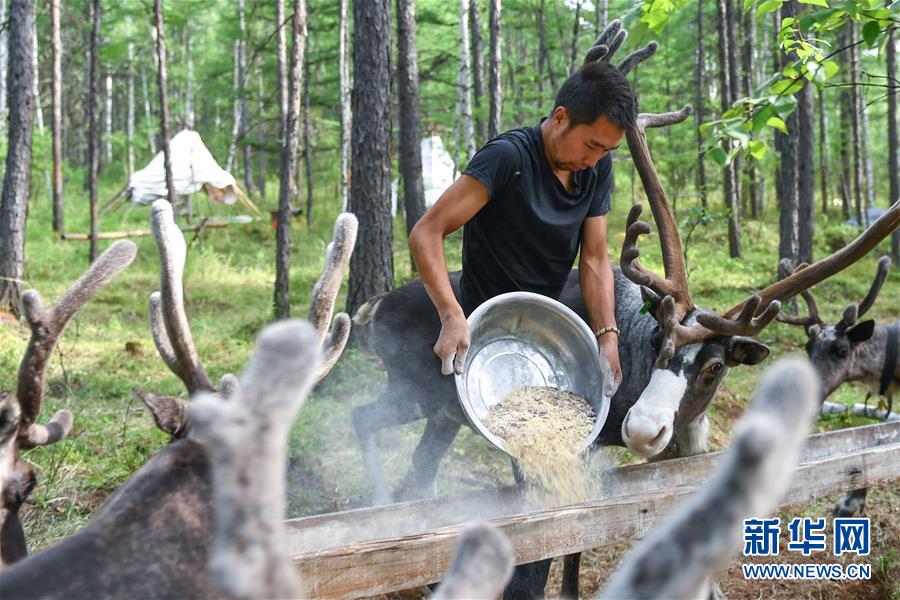 【聚焦脫貧攻堅(jiān)】這組數(shù)字，來之不易