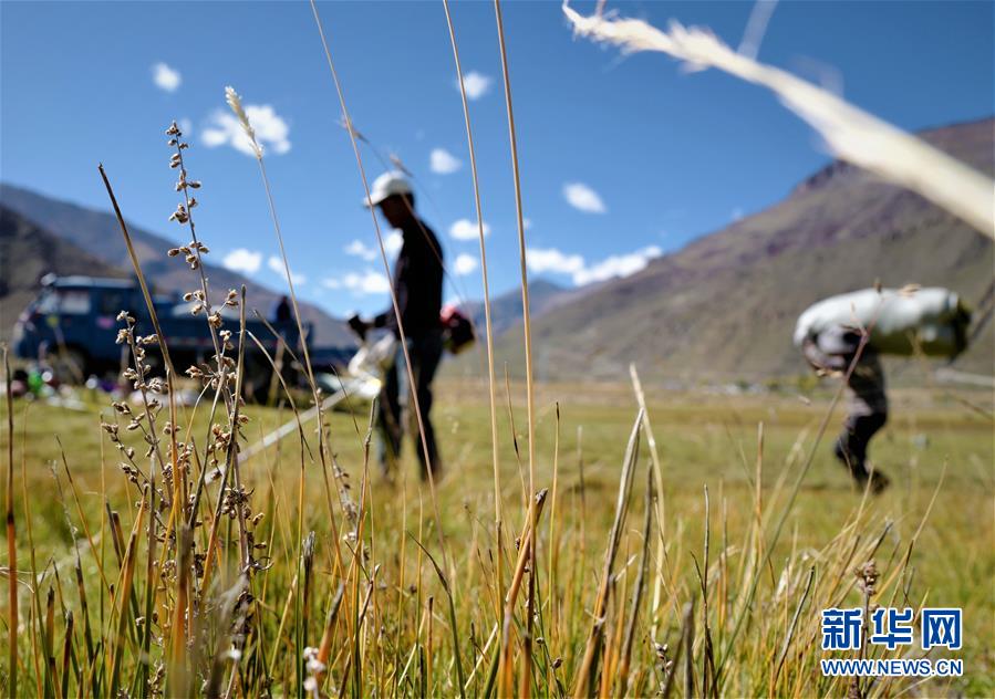 （社會）（2）西藏：牧草豐收儲&ldquo;冬糧&rdquo;