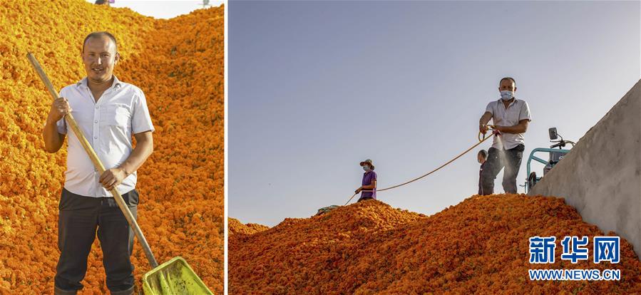 （脫貧攻堅(jiān)&middot;圖片故事）（6）脫貧靠雙手&mdash;&mdash;新疆和田地區(qū)未摘帽縣就業(yè)見(jiàn)聞