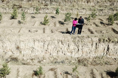 與林木結(jié)緣&mdash;&mdash;綠色是她的摯愛(ài)