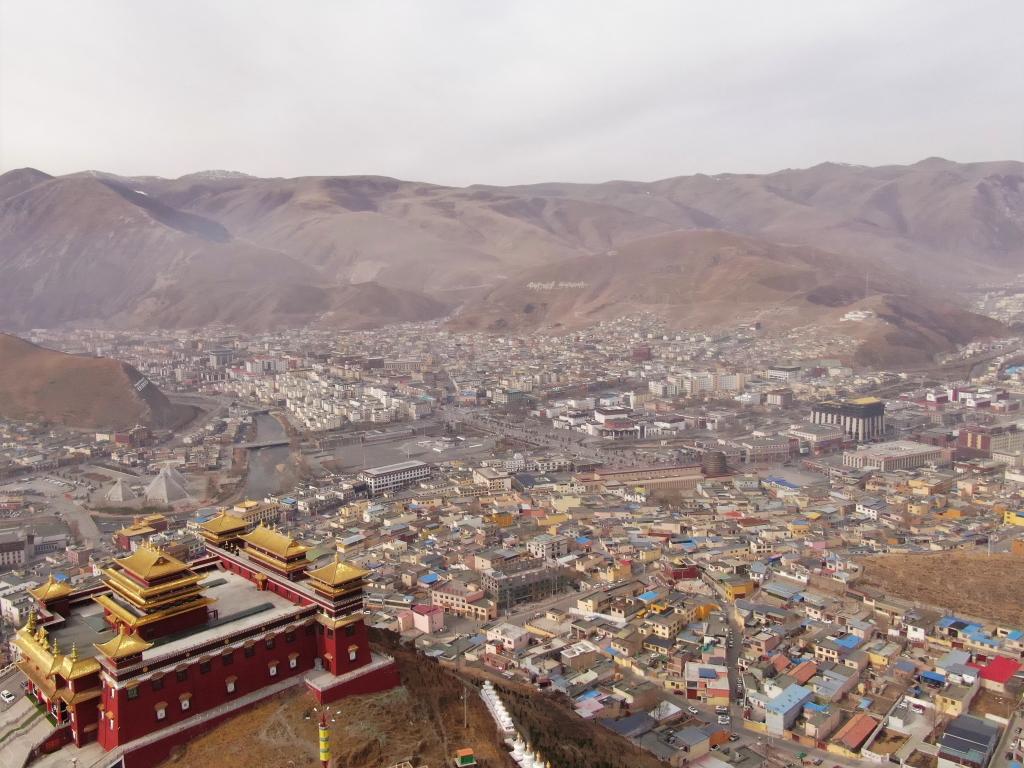 震后11年，玉樹(shù)正芳華