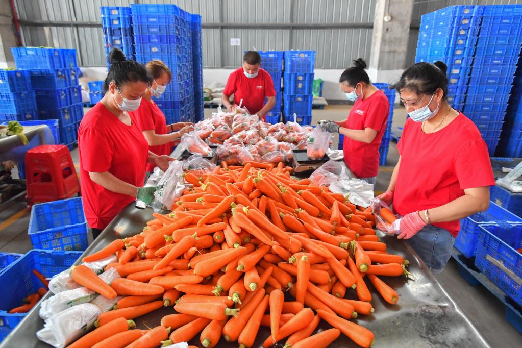 保障&ldquo;菜籃子&rdquo;貨足價穩(wěn)