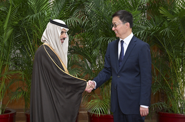 韓正集體會見阿拉伯、伊斯蘭國家外長聯(lián)合代表團(tuán)