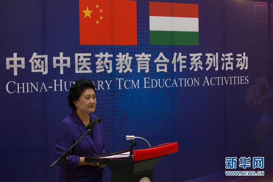6月18日，在匈牙利布達(dá)佩斯，中國國務(wù)院副總理劉延?xùn)|出席中匈中醫(yī)藥教育合作系列活動(dòng)時(shí)講話。中國國務(wù)院副總理劉延?xùn)|18日在布達(dá)佩斯考察匈牙利塞梅爾維斯醫(yī)科大學(xué)并出席中匈中醫(yī)藥教育合作系列活動(dòng)。 新華社發(fā)（弗爾季&middot;奧蒂洛攝）