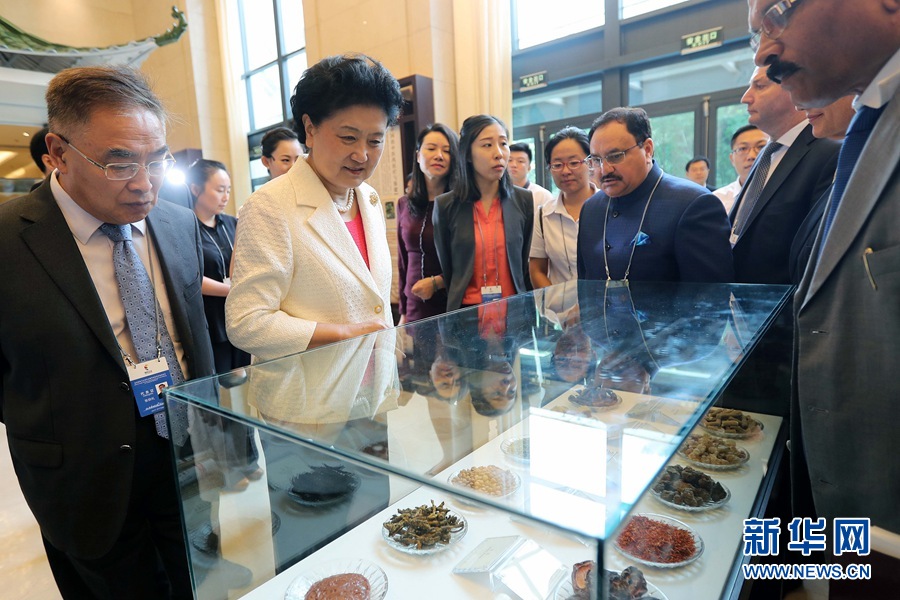 7月6日，金磚國(guó)家衛(wèi)生部長(zhǎng)會(huì)暨傳統(tǒng)醫(yī)藥高級(jí)別會(huì)議在天津開(kāi)幕。這是國(guó)務(wù)院副總理劉延?xùn)|與外賓一起參觀傳統(tǒng)醫(yī)藥文化展。 新華社記者 張玉薇 攝