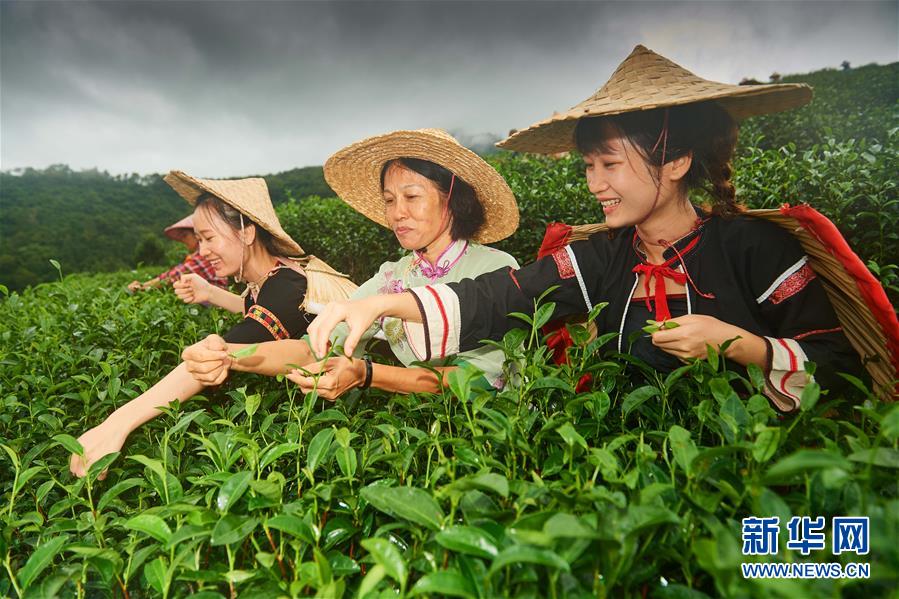 （新華全媒頭條&middot;潮起海之南&middot;圖文互動(dòng)）（7）春潮拍岸千帆進(jìn)&mdash;&mdash;海南特區(qū)改革開放30年紀(jì)實(shí)