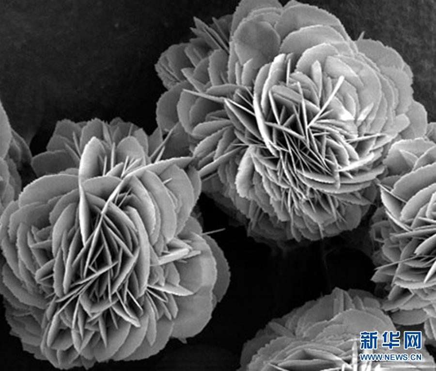 (新時(shí)代奮斗者·圖文互動)(3)“美麗發(fā)現(xiàn)”之路——記青年化學(xué)家戈鈞