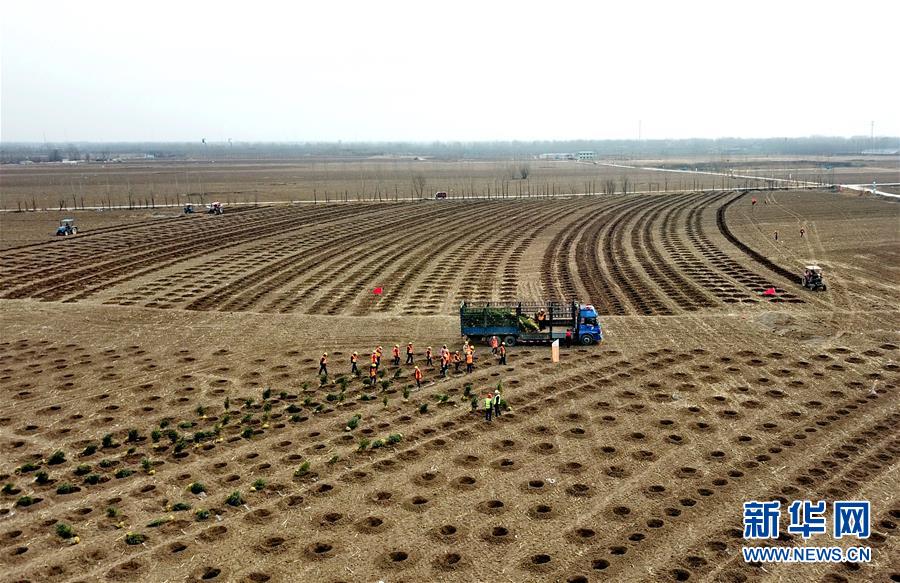 (新華全媒頭條·圖文互動)(6)奮進(jìn)新時代 建設(shè)雄安城——以習(xí)近平同志為核心的黨中央謀劃指導(dǎo)《河北雄安新區(qū)規(guī)劃綱要》編制紀(jì)實