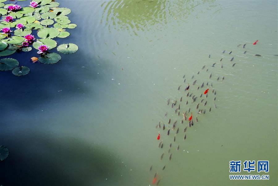 (美麗中國(guó))(5)特色小鎮(zhèn)風(fēng)光美