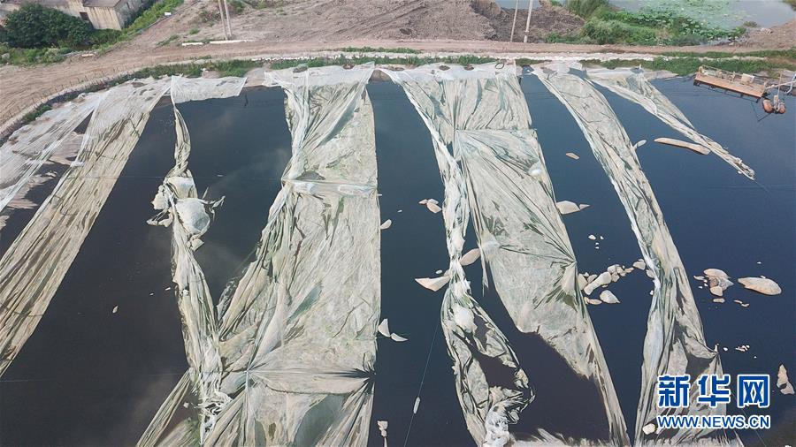 （新華視點(diǎn)&middot;圖文互動(dòng)）（4）中央督察兩年有的絲毫未改，有的不減反增&mdash;&mdash;江蘇泰興數(shù)萬(wàn)噸化工廢料和污泥堆放長(zhǎng)江邊調(diào)查