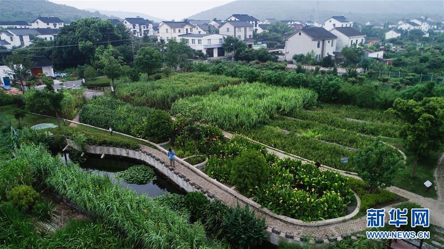 （在習(xí)近平新時代中國特色社會主義思想指引下&mdash;&mdash;新時代新作為新篇章&middot;圖文互動）（1）稀奇！治污濕地成了休閑公園&mdash;&mdash;江蘇蘇州全域推進農(nóng)村生活污水治理