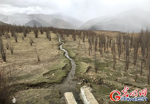 【新時(shí)代&middot;幸福美麗新邊疆】昔日紅色精神流入血脈 今朝邊疆處處開(kāi)遍幸福花