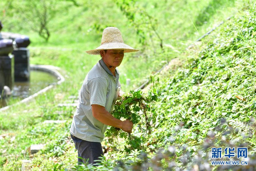 （社會）（10）苗山脫貧影像志&mdash;&mdash;把苗寨搬進(jìn)景區(qū) 讓貧困戶住進(jìn)城里