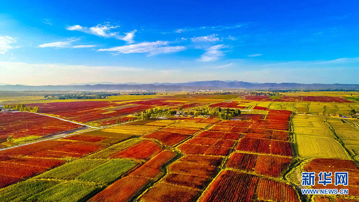 秋收的中國，你想象不到的美！但更美的是&hellip;&hellip;