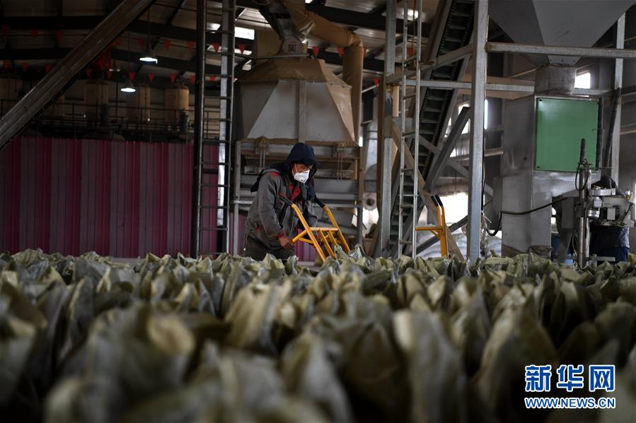 （在習近平新時代中國特色社會主義思想指引下&mdash;&mdash;新時代新氣象新作為&middot;鄉(xiāng)村振興戰(zhàn)略&middot;圖文互動）（1）&ldquo;與其放火，不如打包&rdquo;&mdash;&mdash;山西渾源秸稈綜合再利用見聞