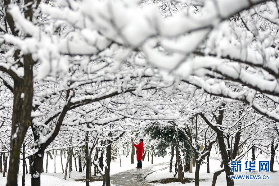 （鏡觀中國&middot;新華社國內(nèi)照片一周精選）（12）冰雪世界