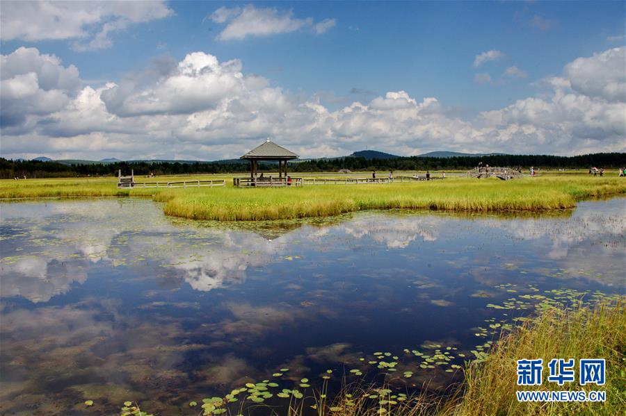 （新華全媒頭條&middot;圖文互動(dòng)）（2）那一抹綠色，走進(jìn)越來(lái)越多人心里&mdash;&mdash;河北塞罕壩續(xù)寫新時(shí)代綠色傳奇