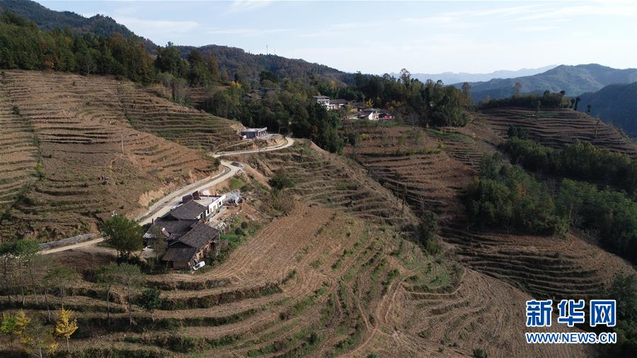 （在習(xí)近平新時(shí)代中國(guó)特色社會(huì)主義思想指引下&middot;慶祝改革開放40周年&middot;共享發(fā)展&middot;圖文互動(dòng)）（3）&ldquo;浙江親人&rdquo;請(qǐng)心安 白茶苗已種滿山&mdash;&mdash;浙江安吉捐贈(zèng)四川青川白茶苗種植地探訪