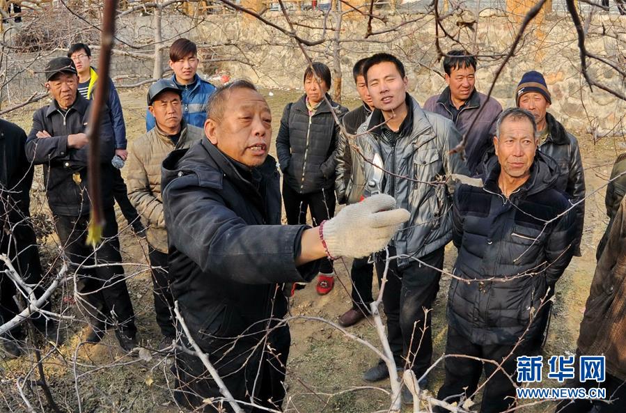 (改革先鋒風(fēng)采·圖文互動(dòng))(2)李保國(guó):開創(chuàng)山區(qū)扶貧新路的“太行山愚公”