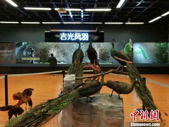 先有雞還是先有蛋？這個科普展覽有點&ldquo;不一般&rdquo;