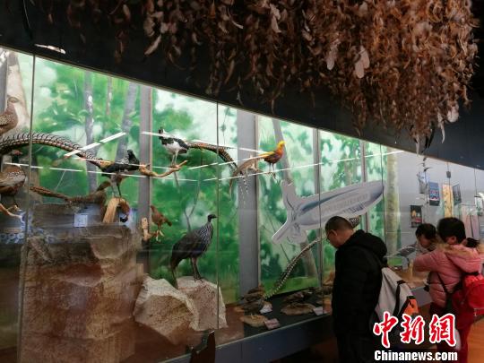 圖為展覽現(xiàn)場。　胡遠航 攝